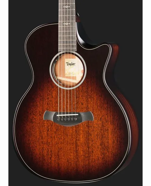 Taylor BE 324ce Next Generation detail 4