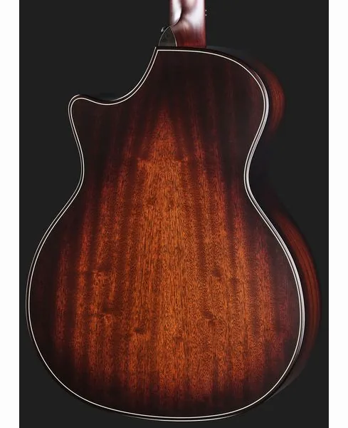 Taylor BE 324ce Next Generation detail 5