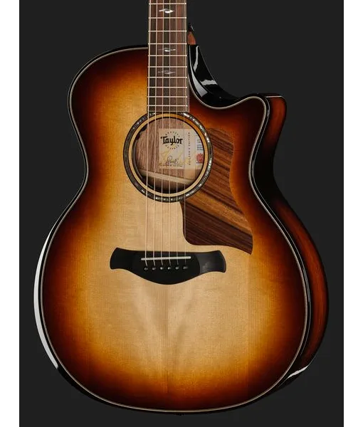 Taylor BE 814ce Adirondack Next Gen detail 4
