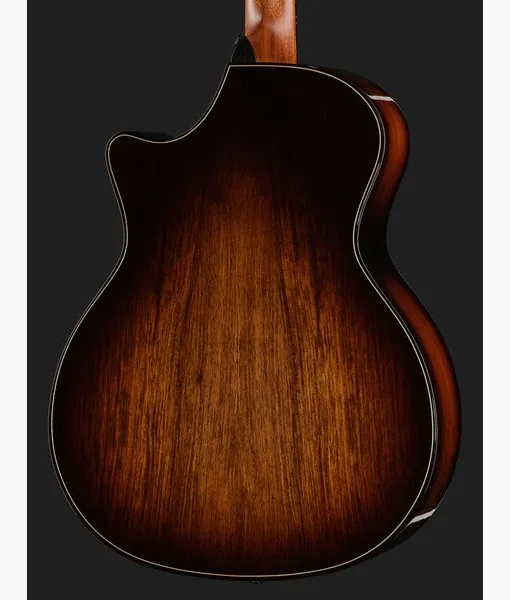 Taylor BE 814ce Adirondack Next Gen detail 5