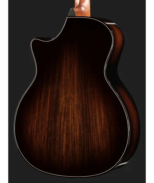Taylor BE 814ce Blacktop Next Gen detail 5