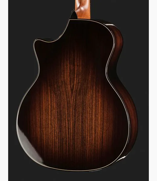 Taylor BE 814ce Next Generation detail 5