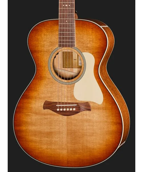 Taylor Ben Harper Gold Label 512e SEB detail 4