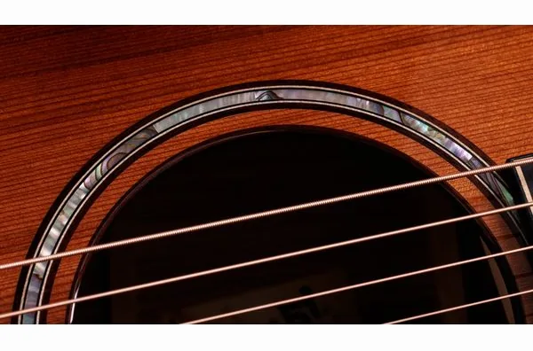 Taylor Builder’s Ed. 814ce Sinker detail 4