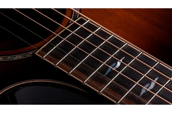 Taylor Builder’s Ed. 814ce Sinker detail 5