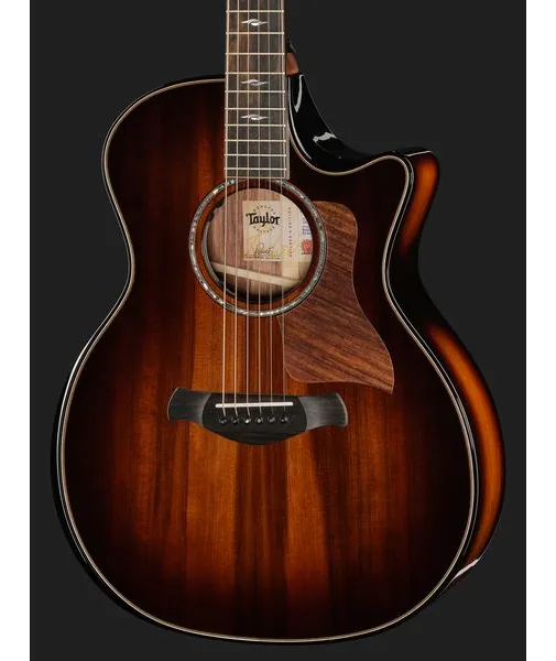 Taylor Builders Edition 814ce NG detail 4