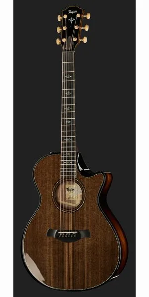 Taylor Builders Edition 912ce Sinker detail 2