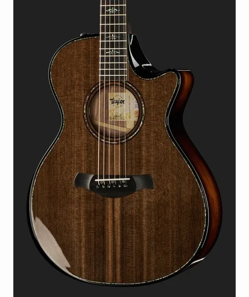 Taylor Builders Edition 912ce Sinker detail 4