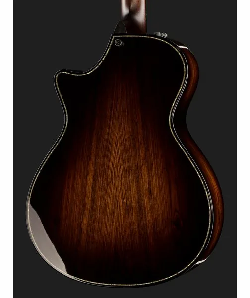 Taylor Builders Edition 912ce Sinker detail 5