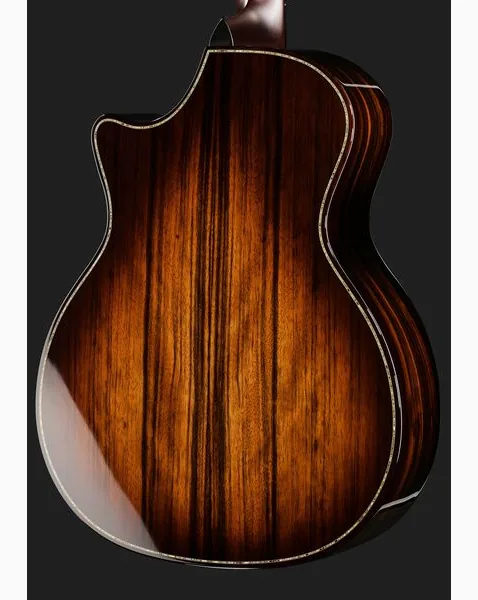 Taylor Builder's Edition 914ce LTD Ma detail 5