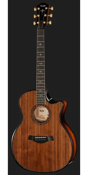 Taylor Builders Edition 914ce RW/RD N detail 2
