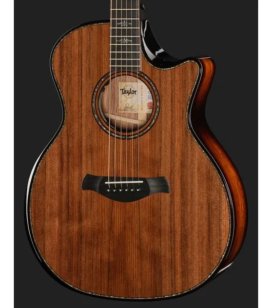 Taylor Builders Edition 914ce RW/RD N detail 4