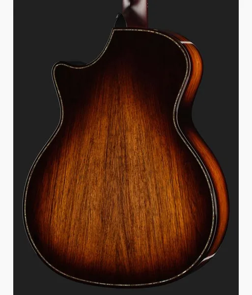 Taylor Builders Edition 914ce RW/RD N detail 5