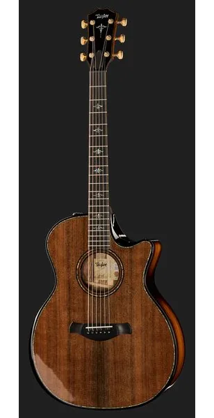 Taylor Builde`s Edition 914ce detail 2