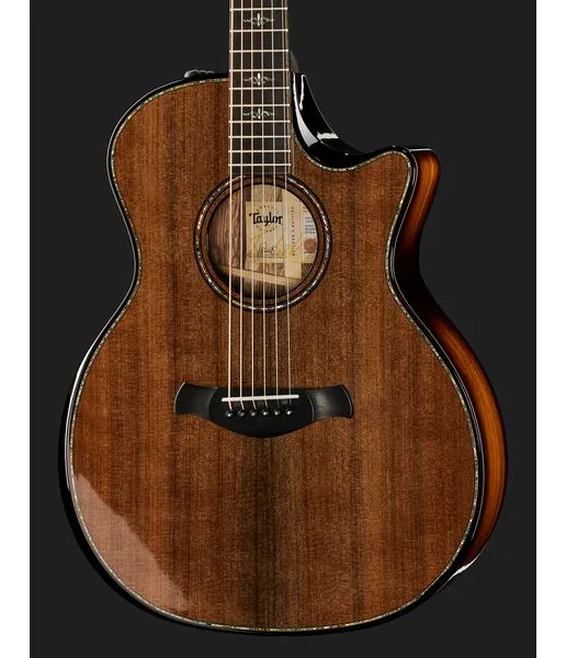 Taylor Builde`s Edition 914ce detail 4