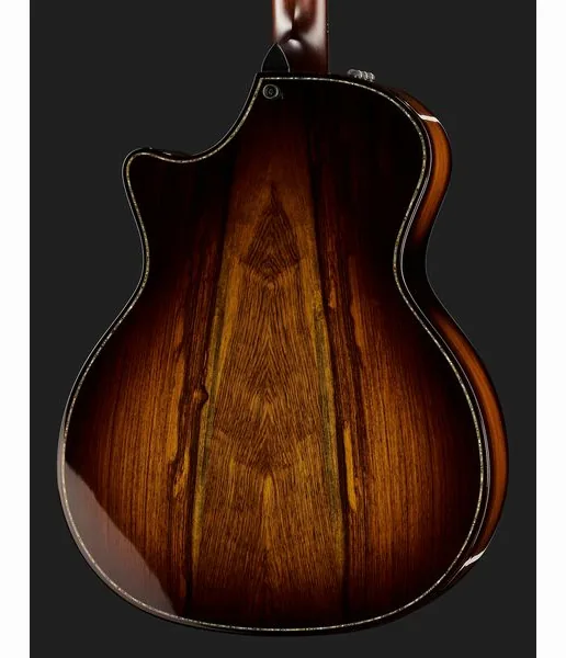 Taylor Builde`s Edition 914ce detail 5