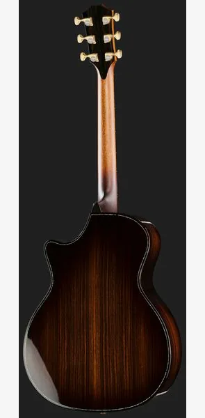 Taylor C14ce B6008 Custom #8 detail 3