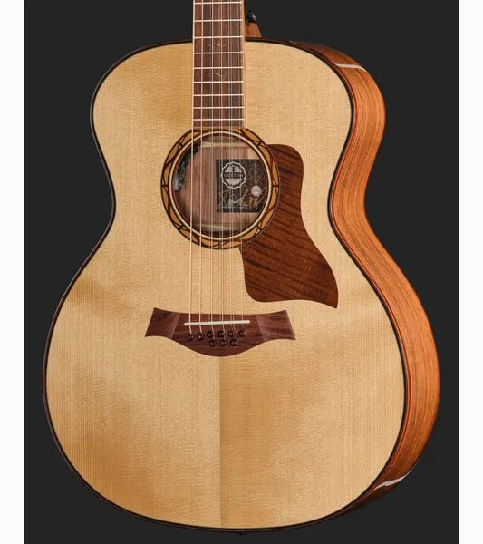Taylor C14e B6011 Custom #11 detail 4