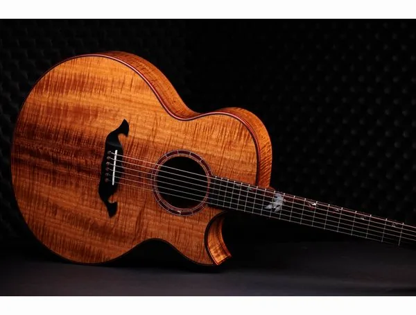 Taylor C25ce B6005 Custom #5 detail 2
