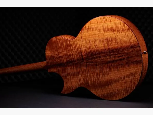 Taylor C25ce B6005 Custom #5 detail 3