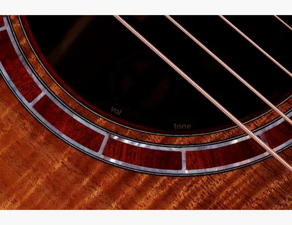 Taylor C25ce B6005 Custom #5 detail 5