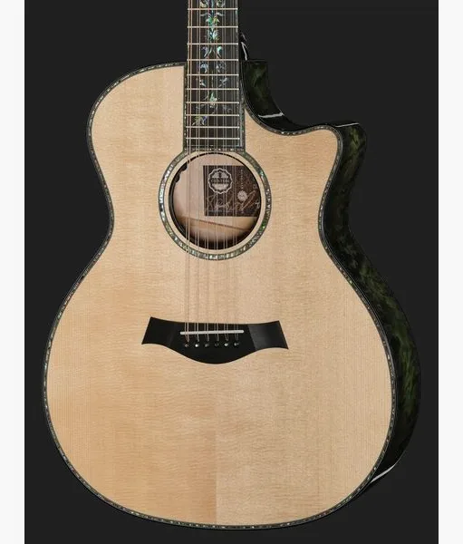 Taylor C54ce B6024 Custom detail 4
