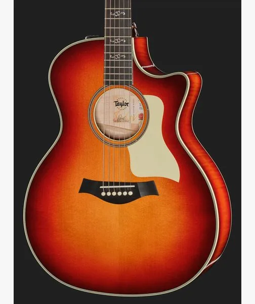 Taylor Custom #18: C14ce B5018 detail 4