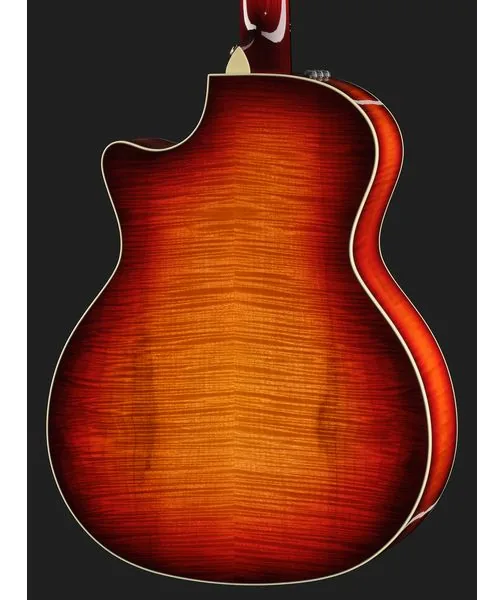 Taylor Custom #18: C14ce B5018 detail 5