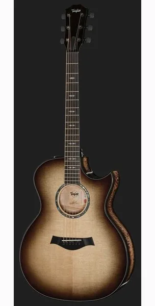 Taylor Custom #26: C14ce B5026 detail 2