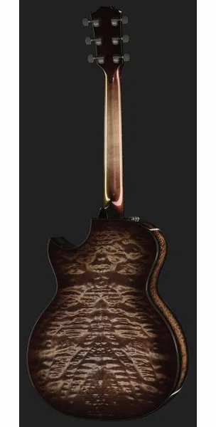Taylor Custom #26: C14ce B5026 detail 3