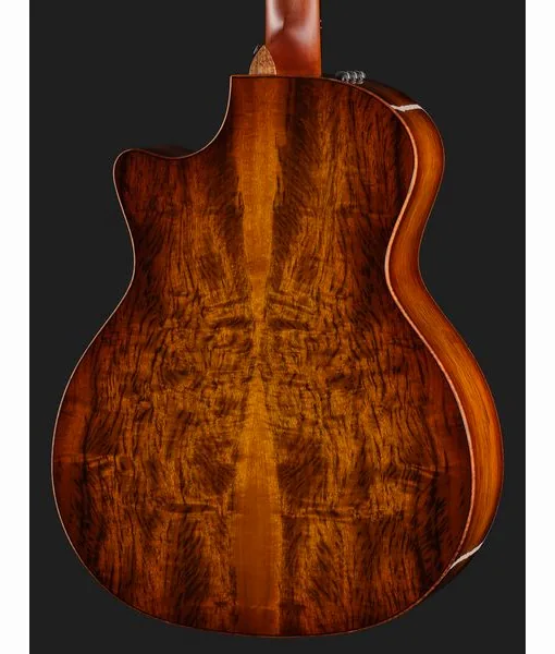Taylor Custom #36: The Bengal detail 5