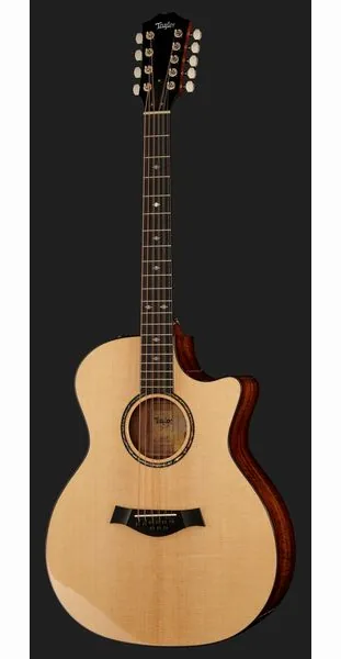Taylor Custom GA-9 detail 2