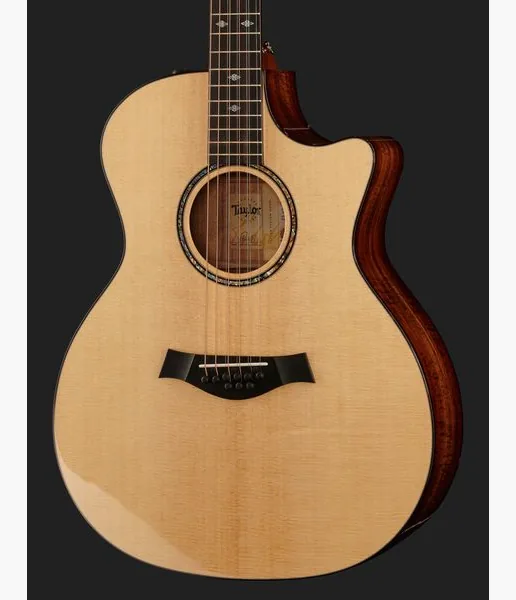Taylor Custom GA-9 detail 4