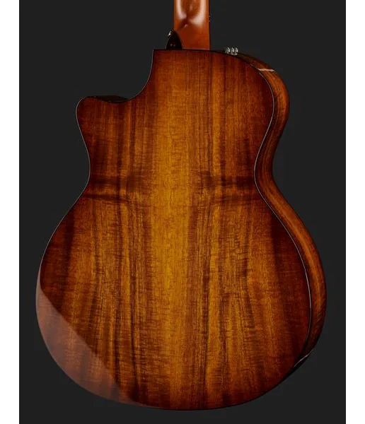 Taylor Custom GA-9 detail 5