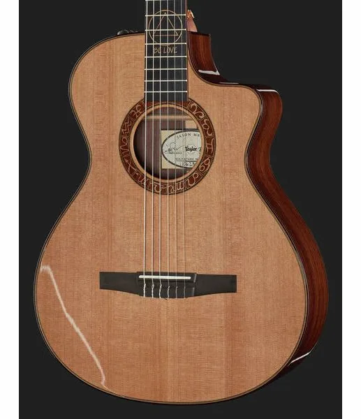 Taylor Jason Mraz Signature detail 4
