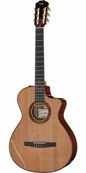 Taylor Jason Mraz Signature vooraanzicht