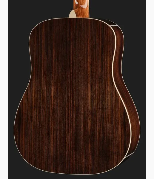 Taylor Legacy 810e Special Edition HB detail 5