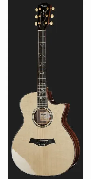 Taylor Legacy 914ce detail 2