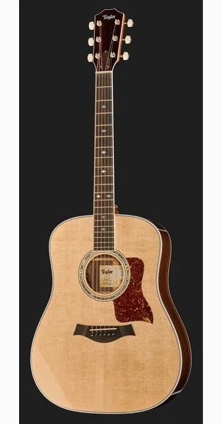 Taylor Legacy Edition 810e detail 2