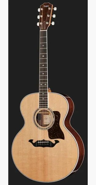 Taylor Legacy Edition 815e detail 2