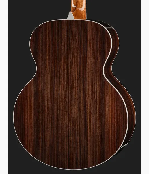 Taylor Legacy Edition 855e detail 5