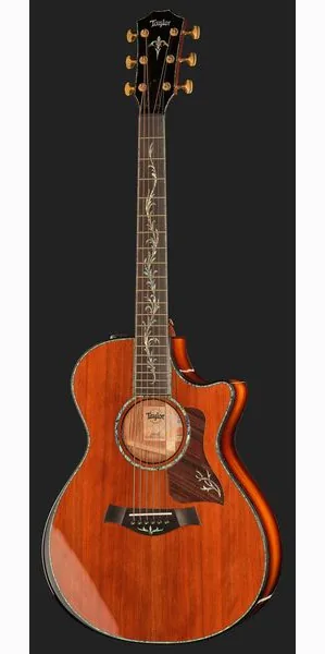 Taylor PS12ce Honduran Rosewood detail 2