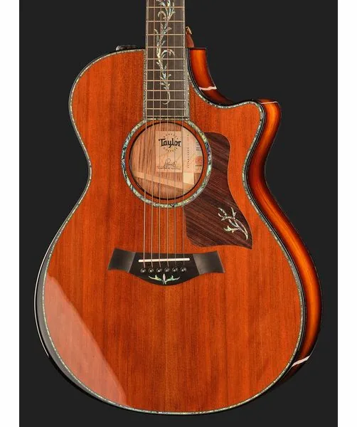 Taylor PS12ce Honduran Rosewood detail 4