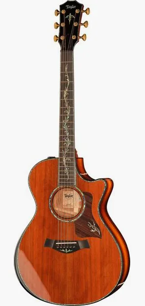 Taylor PS12ce Honduran Rosewood vooraanzicht