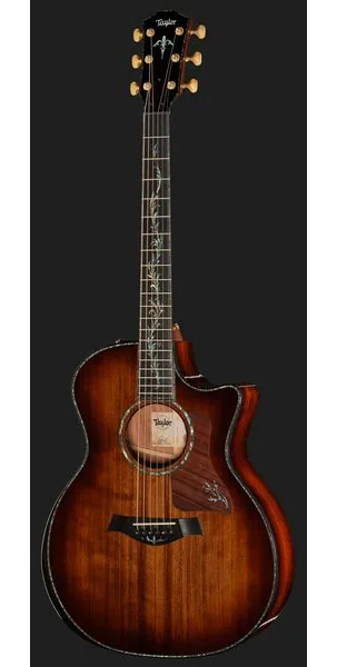 Taylor PS14ce Figured Urban Ironback detail 2