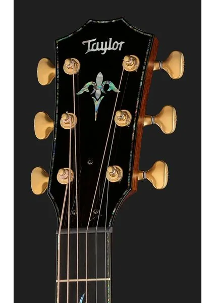 Taylor PS14ce Figured Urban Ironback detail 4