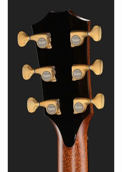 Taylor PS14ce Figured Urban Ironback detail 5