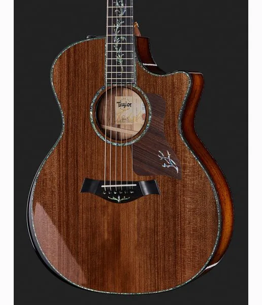 Taylor PS14ce Presentation detail 4