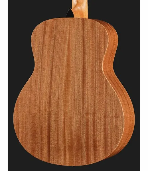 Taylor ZEDD GS Mini Telos Special Ed detail 5