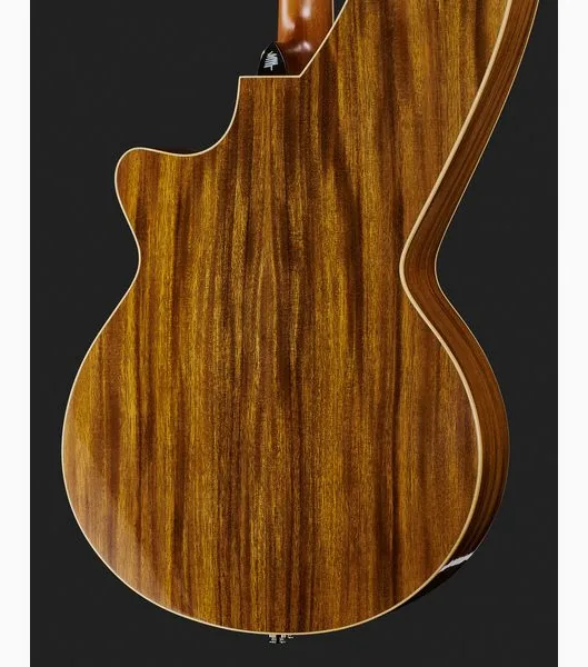 Timberline Guitars T60HGc-e Harp Guitar detail 5